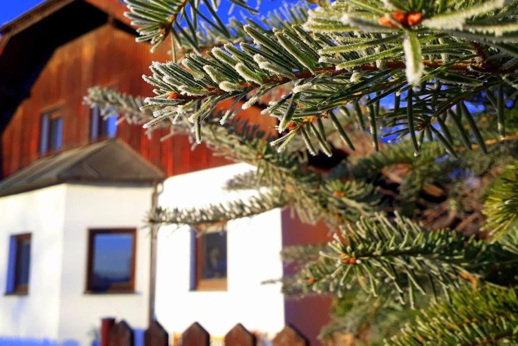 "Stone'S Throw" Krumlov 5 Min By Car, Lipno 15 Min By Car, 2 Bdrooms,Playroom Kájov المظهر الخارجي الصورة